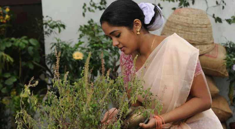 துளசியை வழிபாடு செய்வதால் கிடைக்கும் அற்புத பலன்கள் பற்றித் தெரிந்துகொள்வோம்!